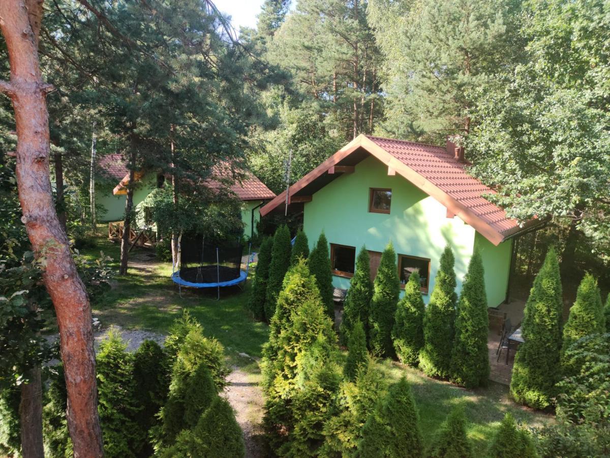 Niezapominajka-Jura Villa Niegowa Bagian luar foto