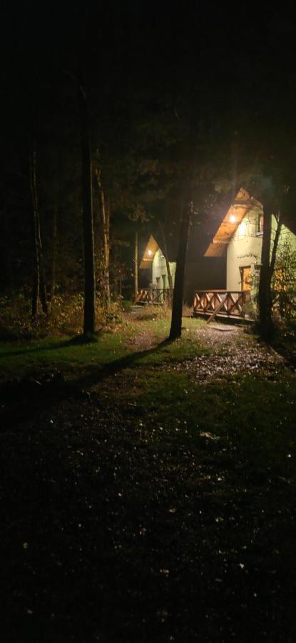 Niezapominajka-Jura Villa Niegowa Bagian luar foto
