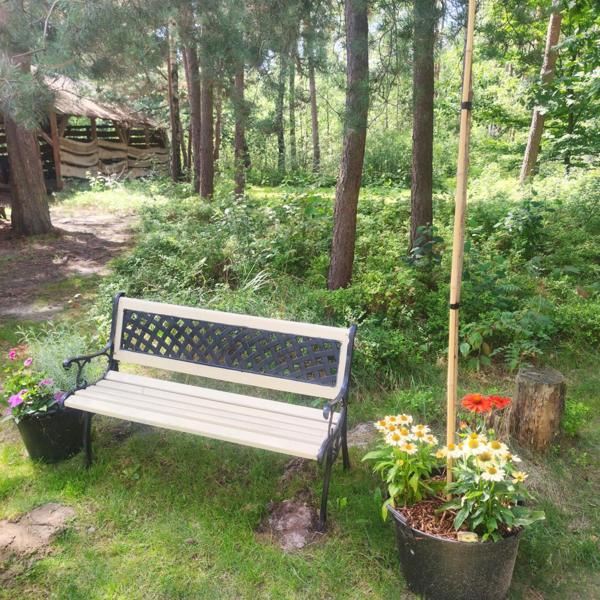 Niezapominajka-Jura Villa Niegowa Bagian luar foto